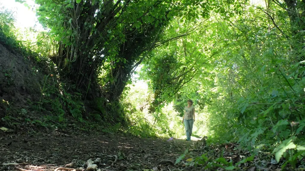 Au cœur du bocage