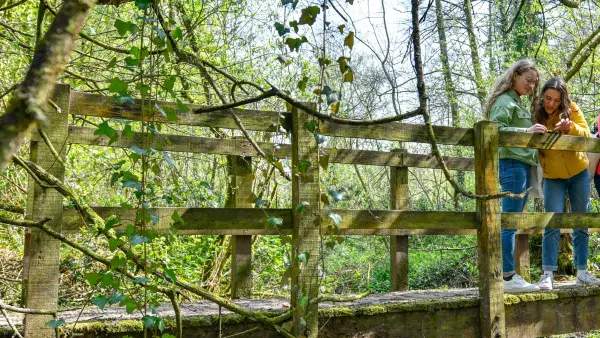 pied_au-fil-de-la-sienne_benoit-croisy_01