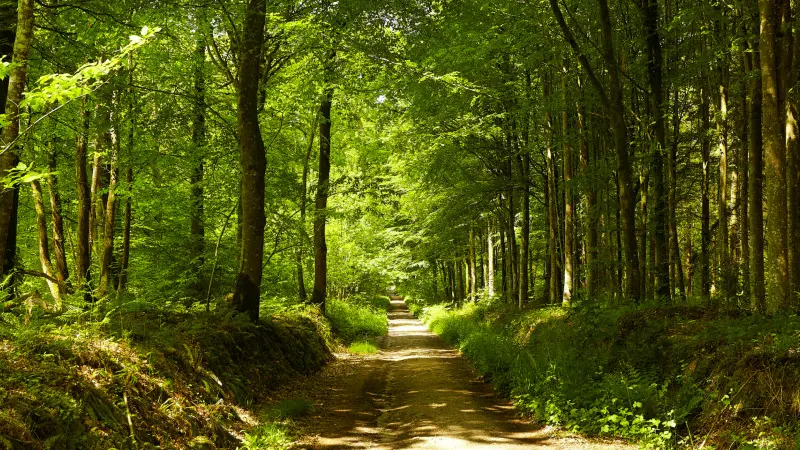pied-grand-tour-lucerne-outremer_alexandre-lamoureux_02