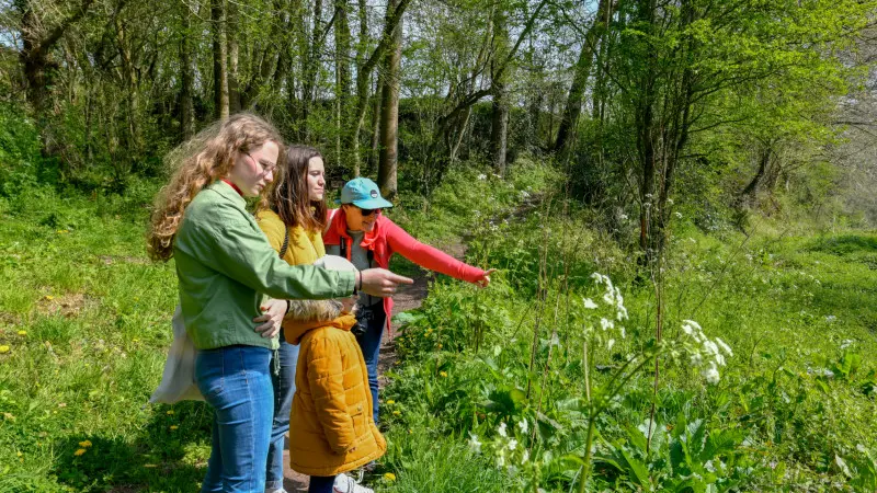 pied-la-vallee-de-l-oiseliere-balade-saint-planchers_benoit-croisy_01