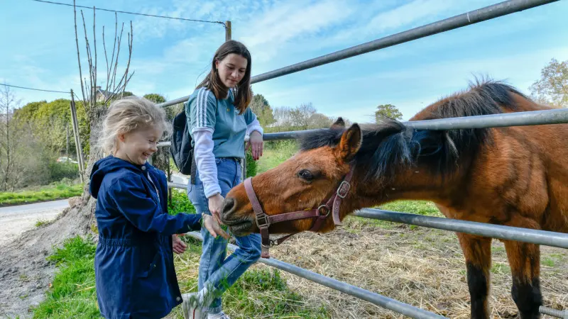 pied-la-vallee-de-l-oiseliere-balade-saint-planchers_benoit-croisy_03