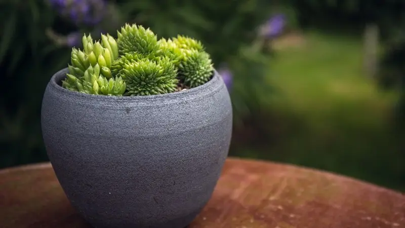 poterie-au-gres-du-temps-montsenelle-3