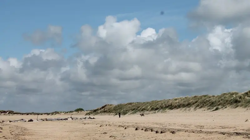 plage montmartin sur mer avril 2017 (113)