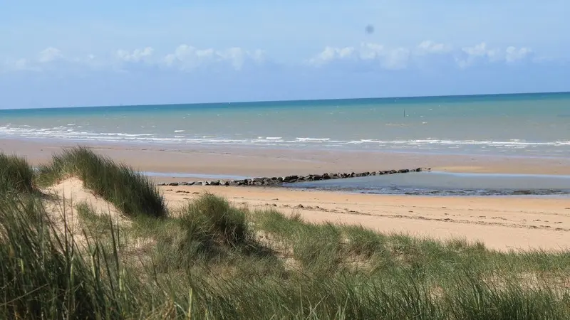 plage montmartin sur mer avril 2017 (37)