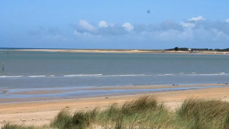 plage montmartin sur mer avril 2017 (48)