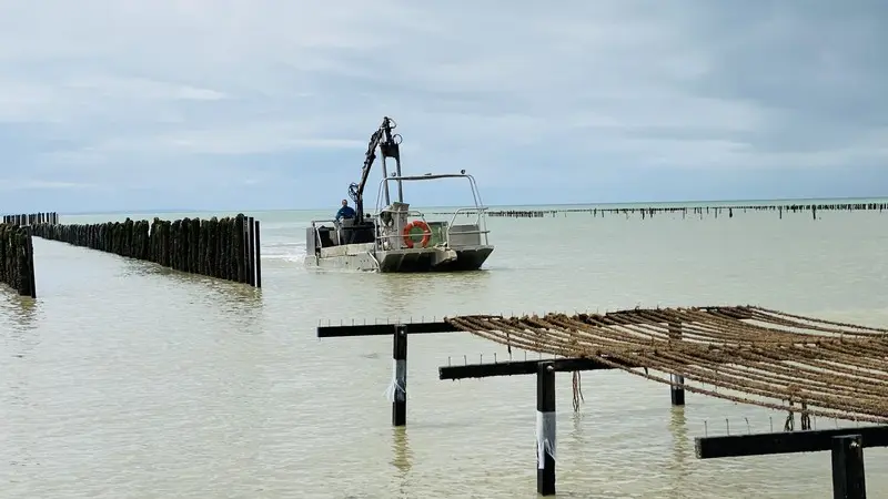 produits du terroir gouville sur mer macé ostreiculteur (2)