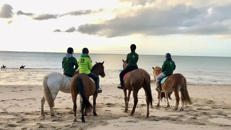 saint-planchers-ecurie-olivier-0