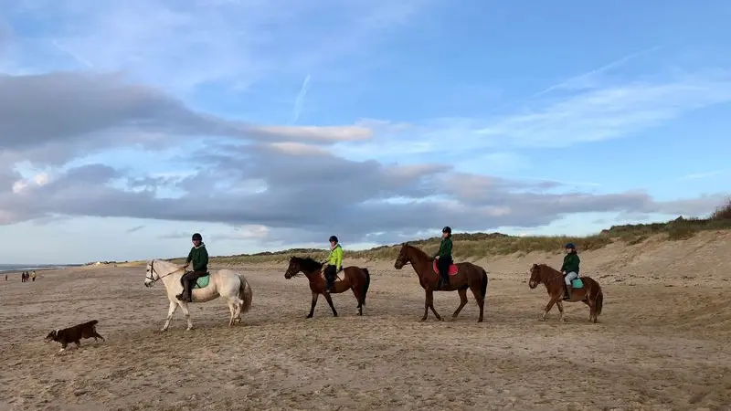 saint-planchers-ecurie-olivier-1