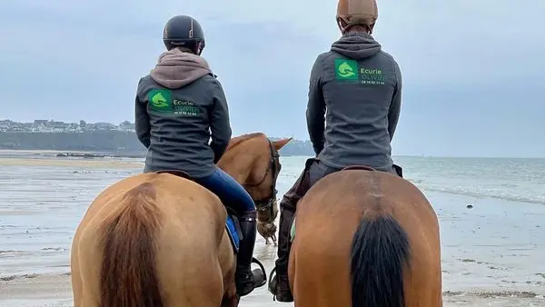 saint-planchers-ecurie-olivier-2