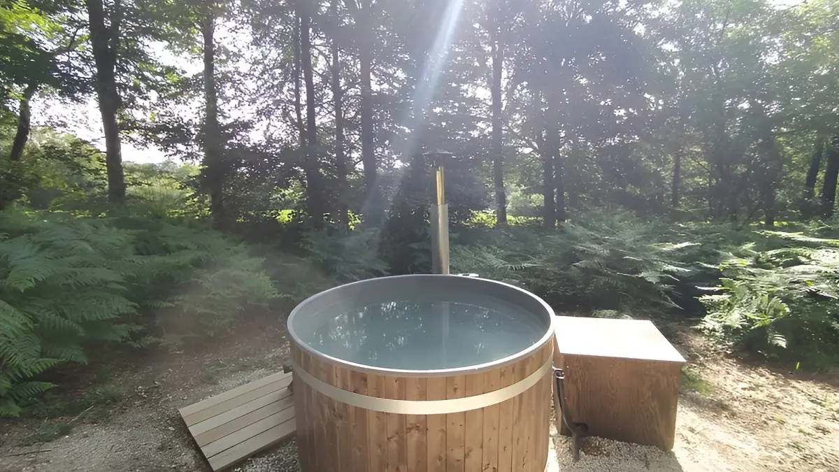 spa cabane arbres