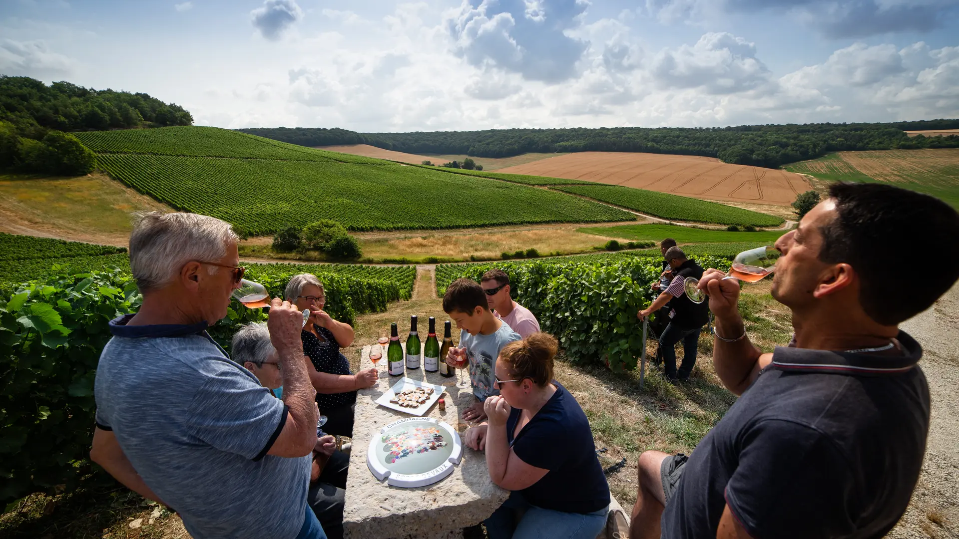 Dégustation dans les vignes