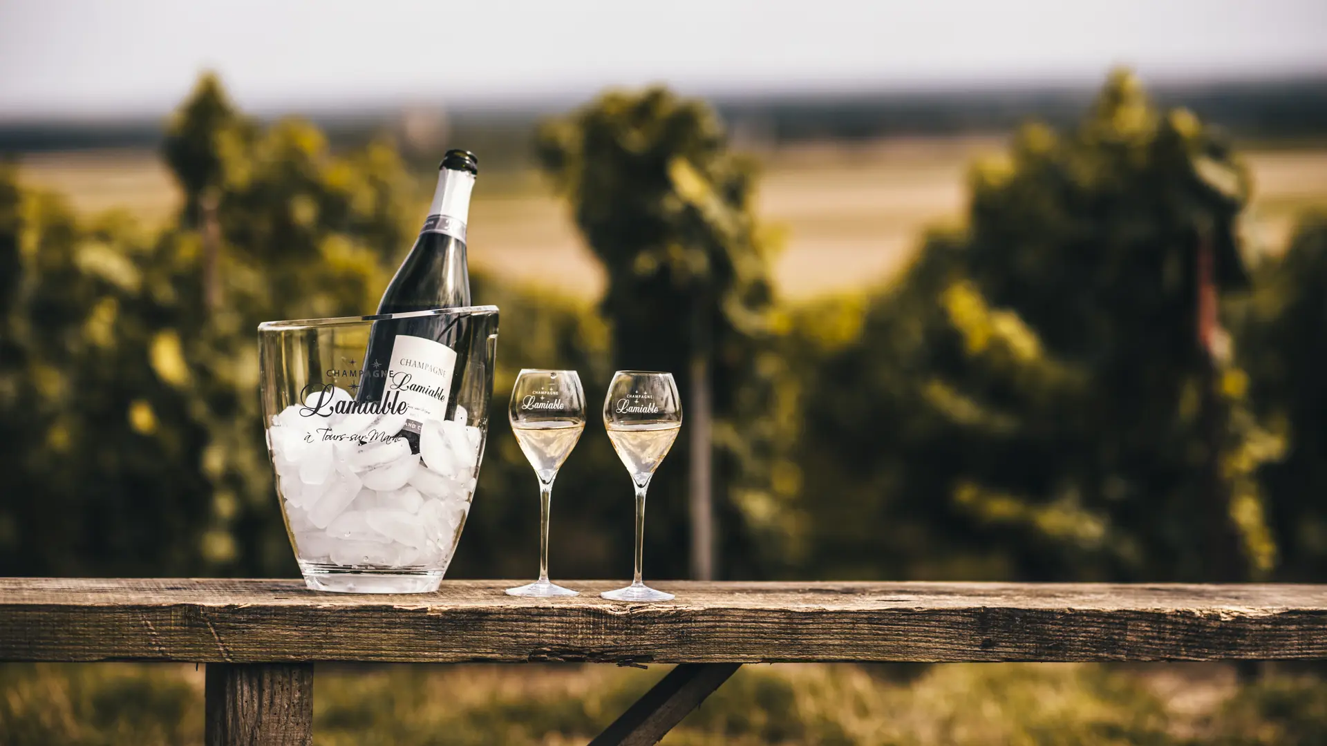 champagne-lamiable-tours-sur-marne-dégustation