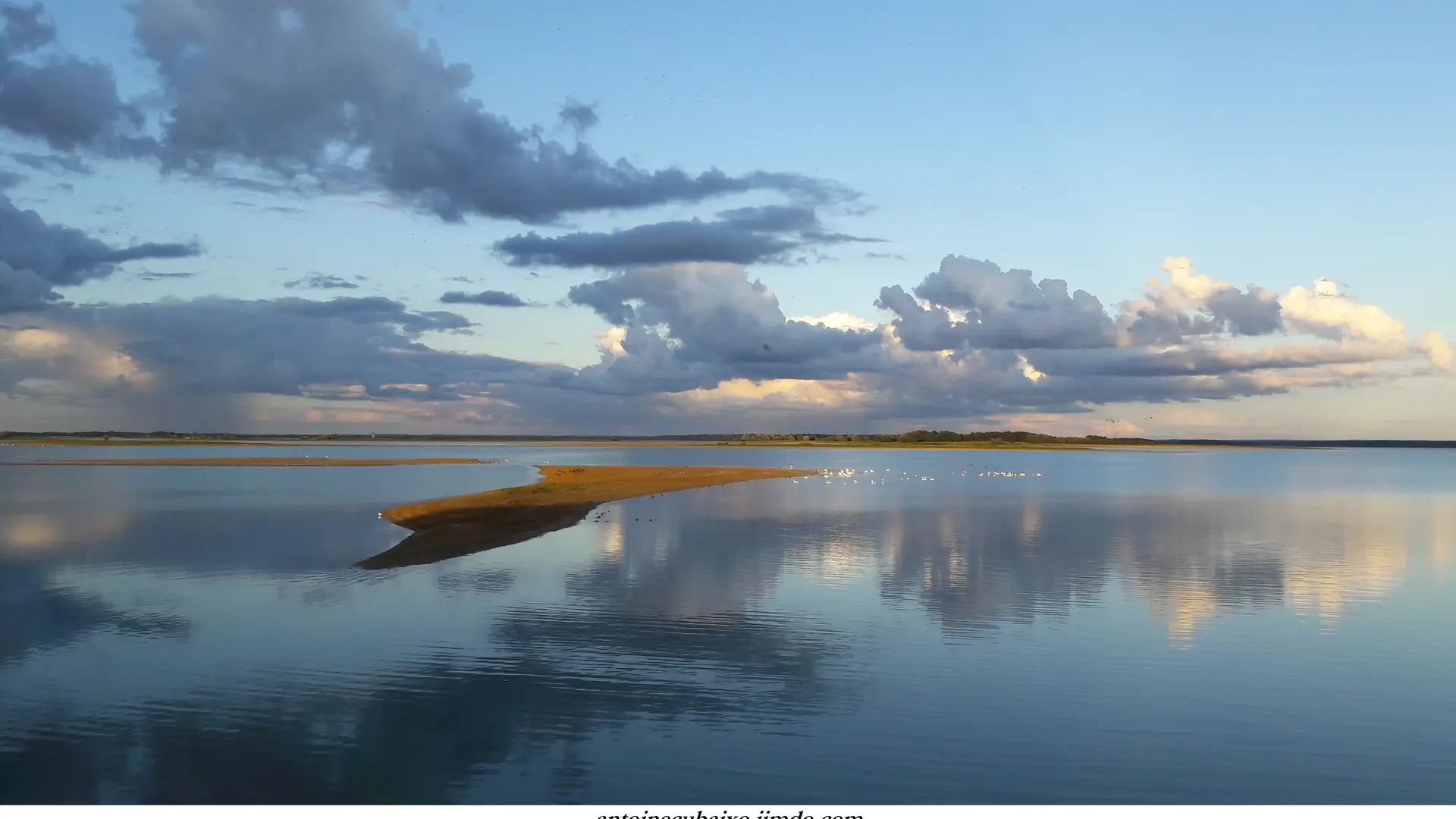 My Lac du Der By Antoine Cubaixo