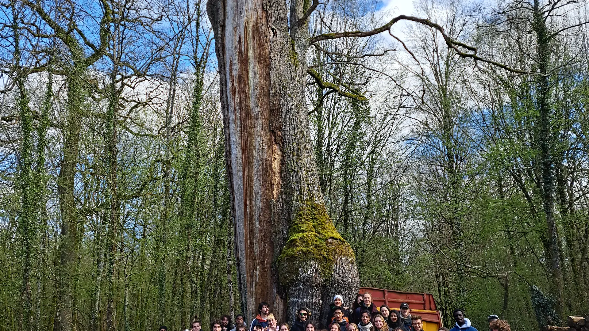 Le gros chêne - 2024-03-28 - Groupe BTS-GPN - 54 pers.