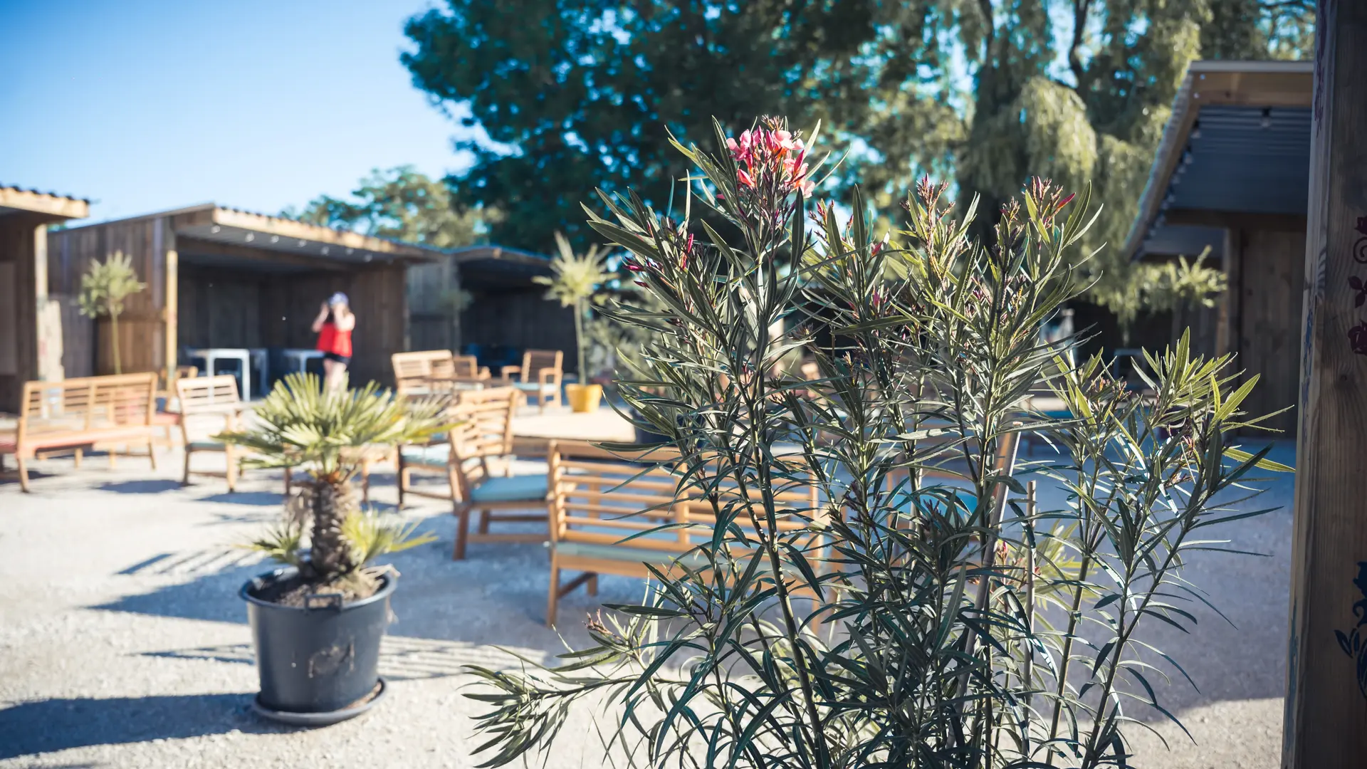 Théâtre Equestre de Champagne
