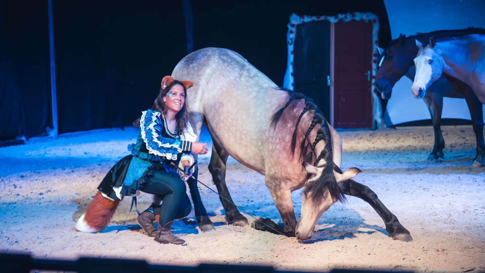 Théâtre Equestre de Champagne