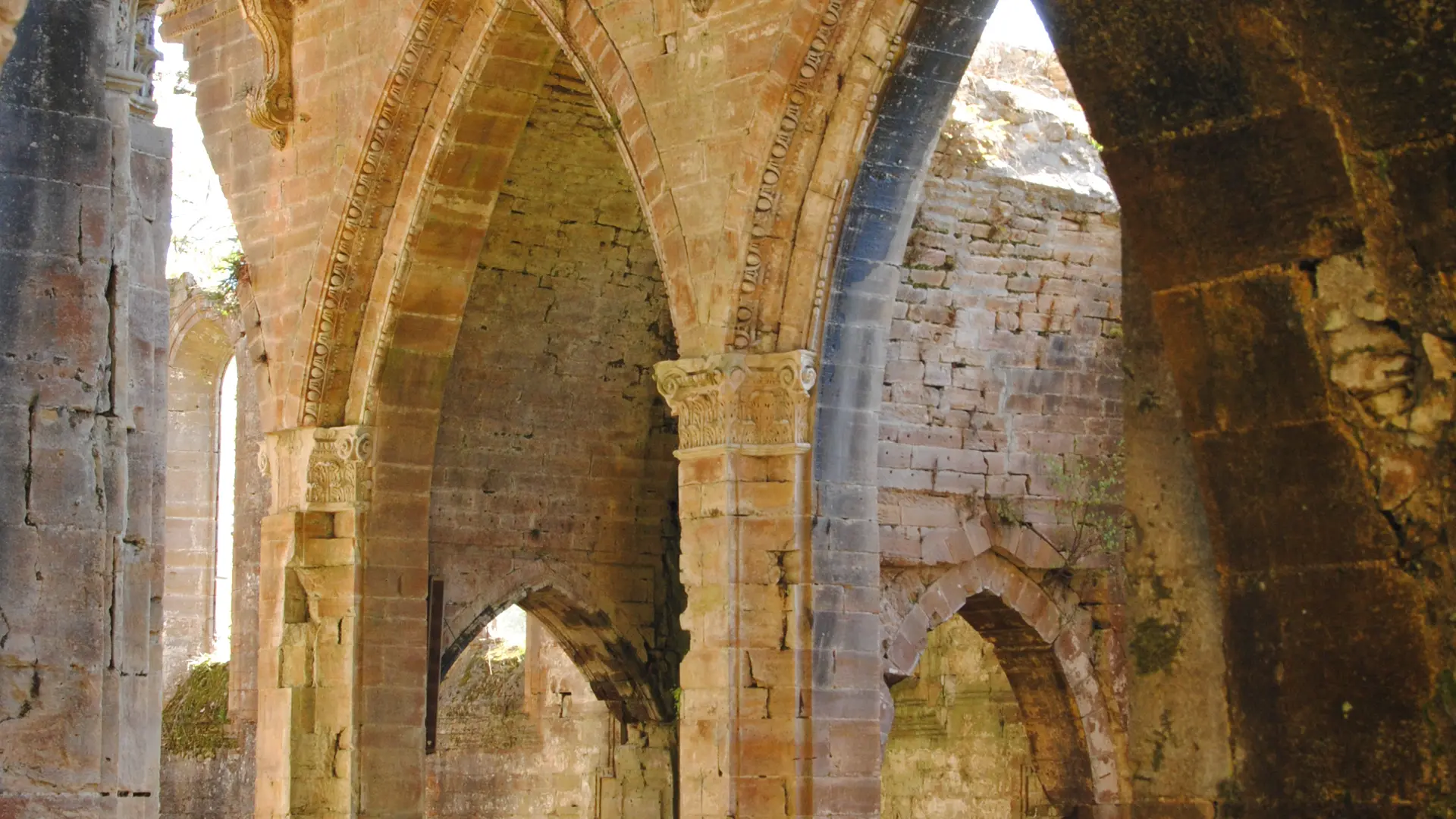 Abbatiale - Abbaye de Trois-Fontaines