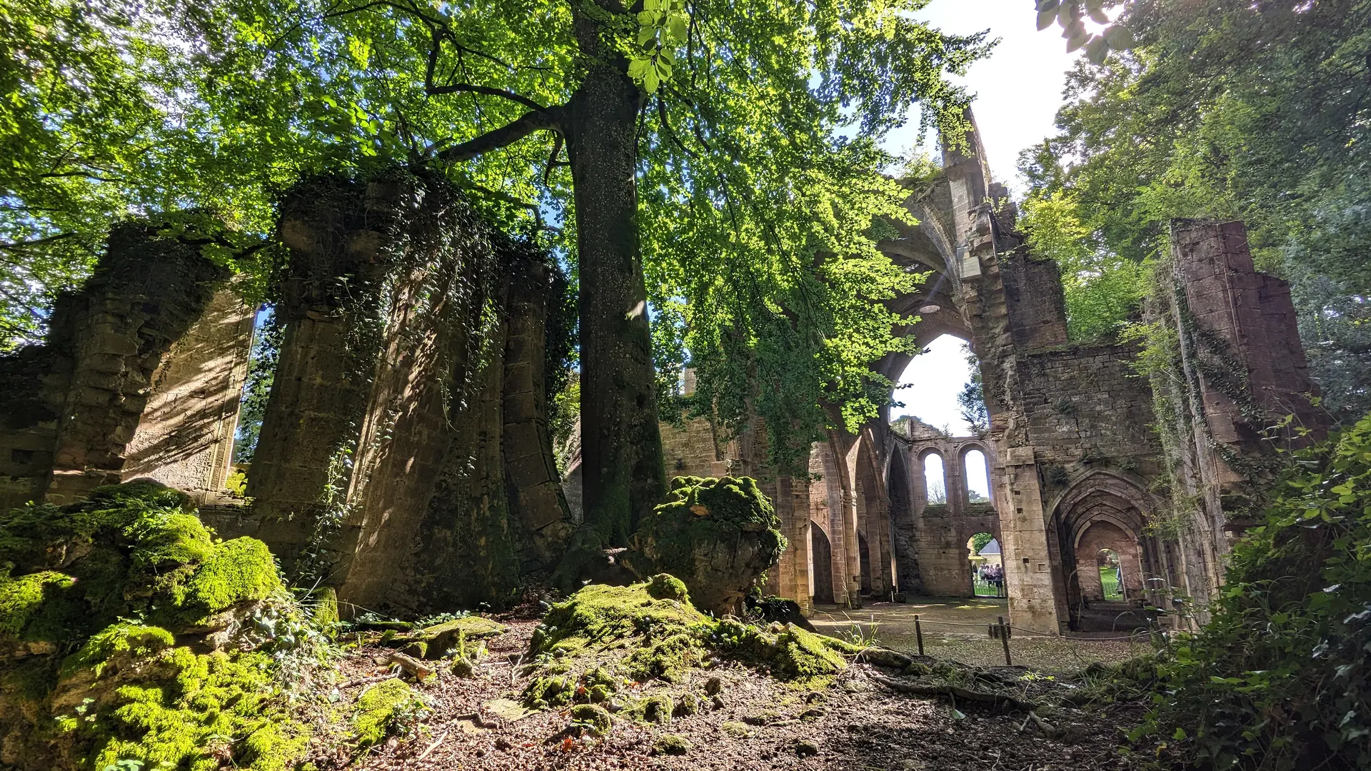 Abbatiale2 Abbaye de Trois-Fontaines