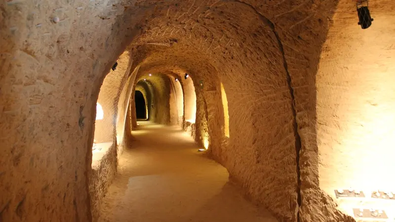 Cave aux coquillages - Fleury-la-Rivière - galerie