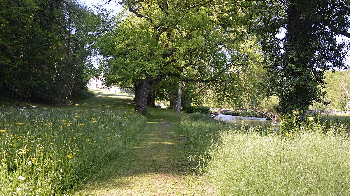 Château de Cirey - le Parc