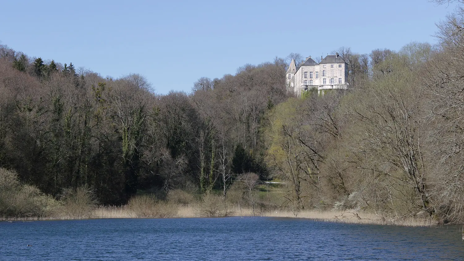 Le château de Reynel