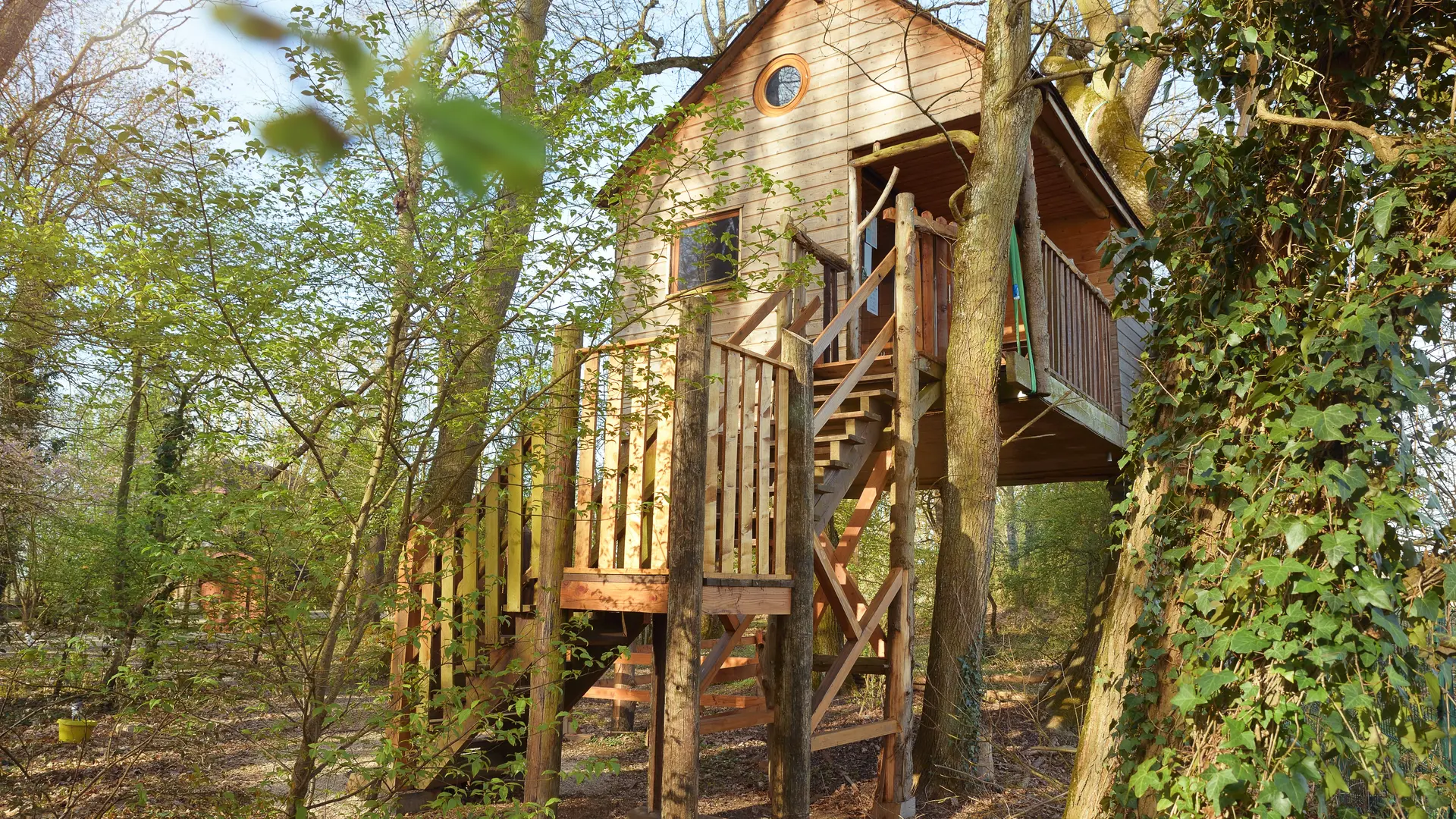 La cabane perchée au lac du Der