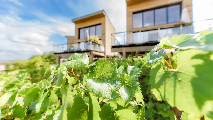 cottages-antoinette-vignoble