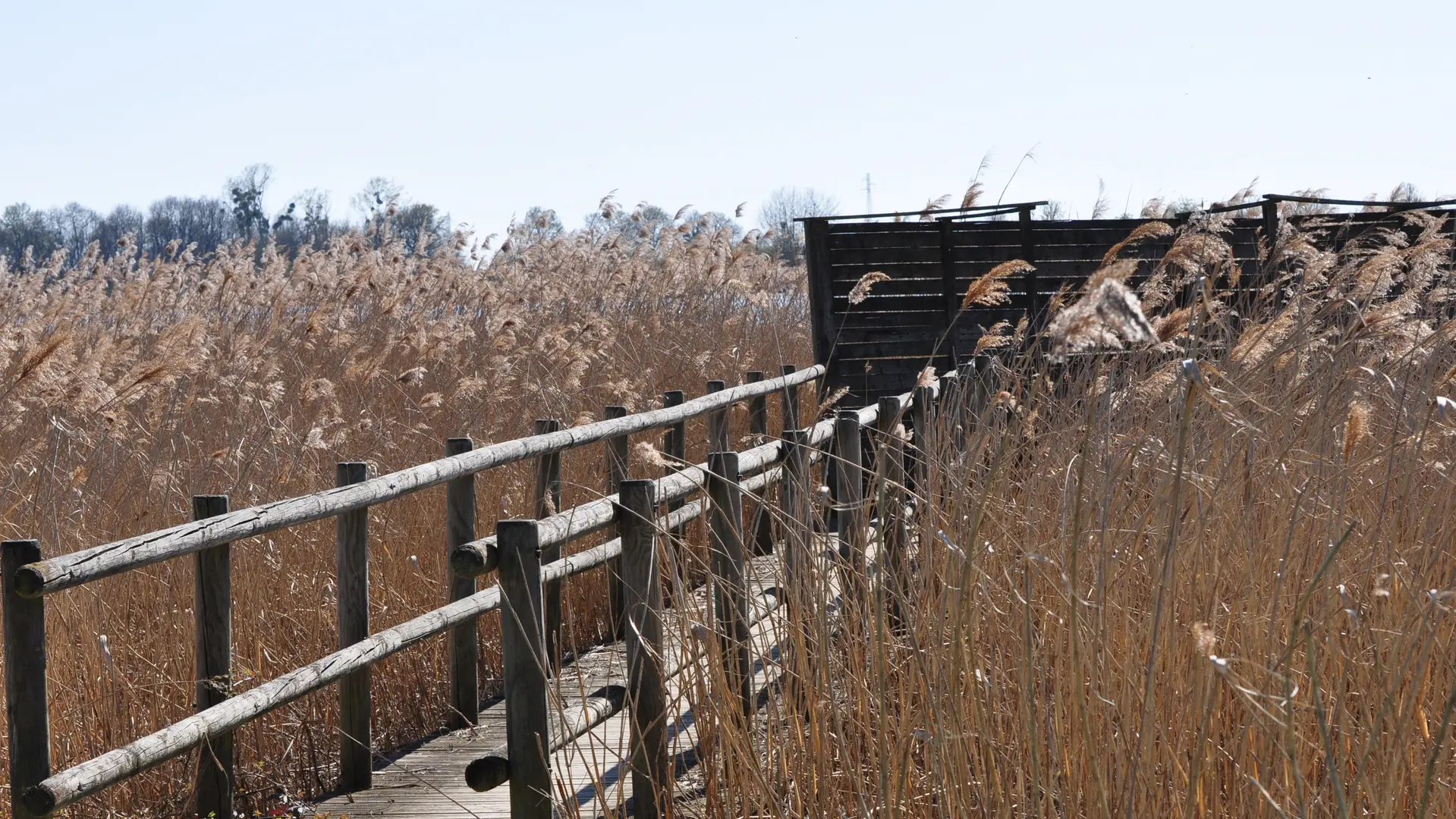 L'observatoire du Grand Coulon nord