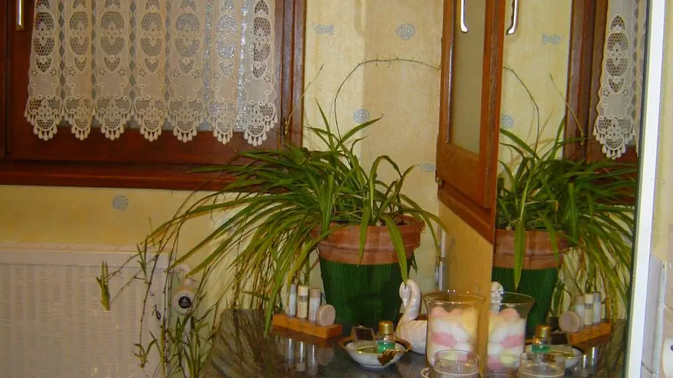 Chambre d'hotes La Neottie - Outines - lac du DerDSC01993