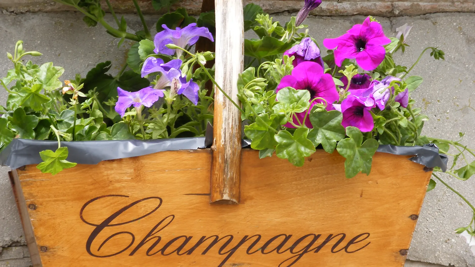 Le Sentier du Vigneron