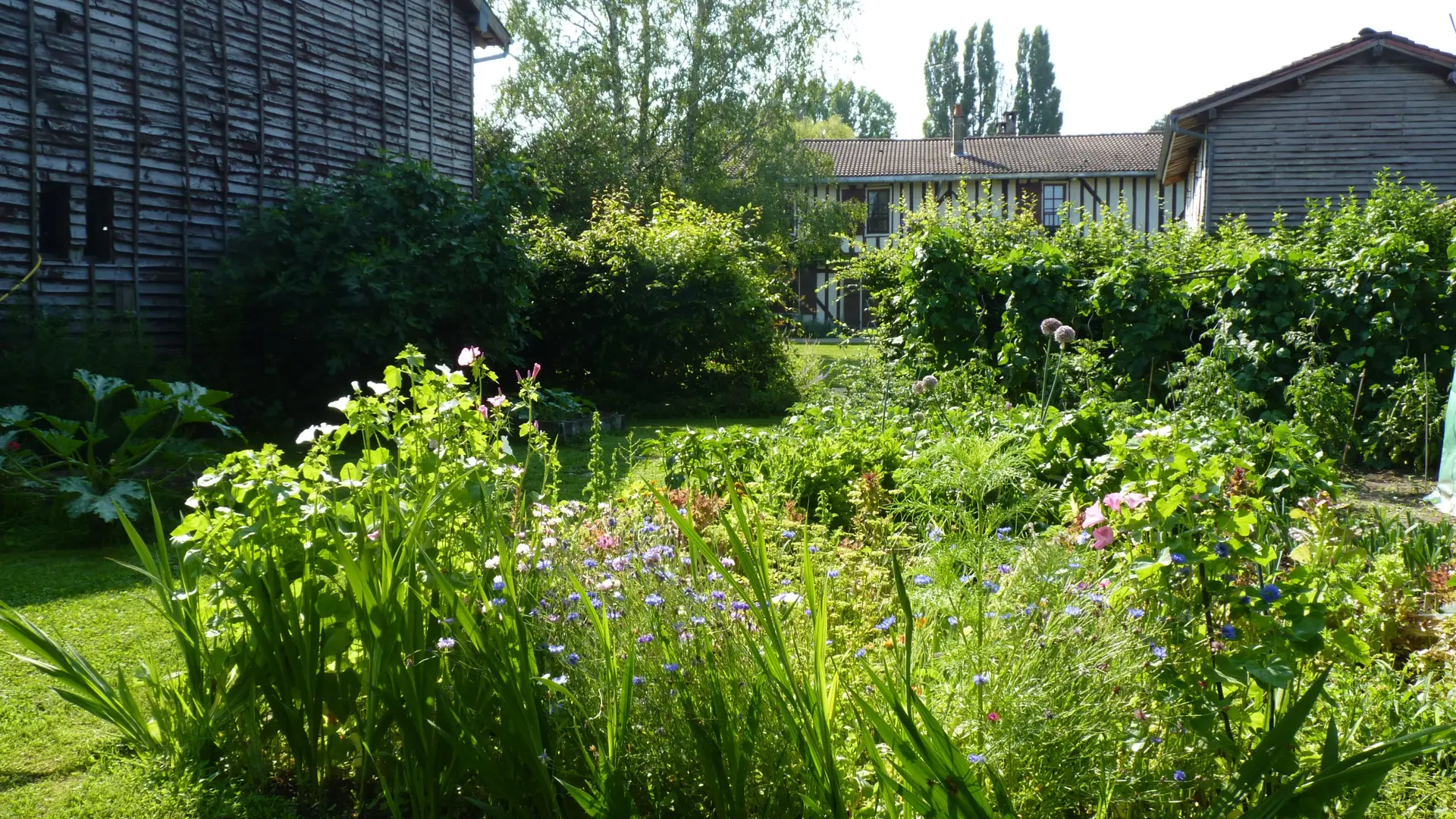 La Maison de Marie - Droyes - Lac du Der en Champagne