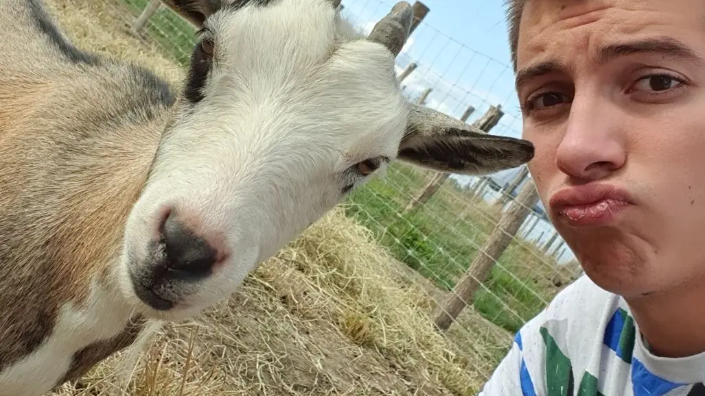 Ferme Pédagogique du Grand Der