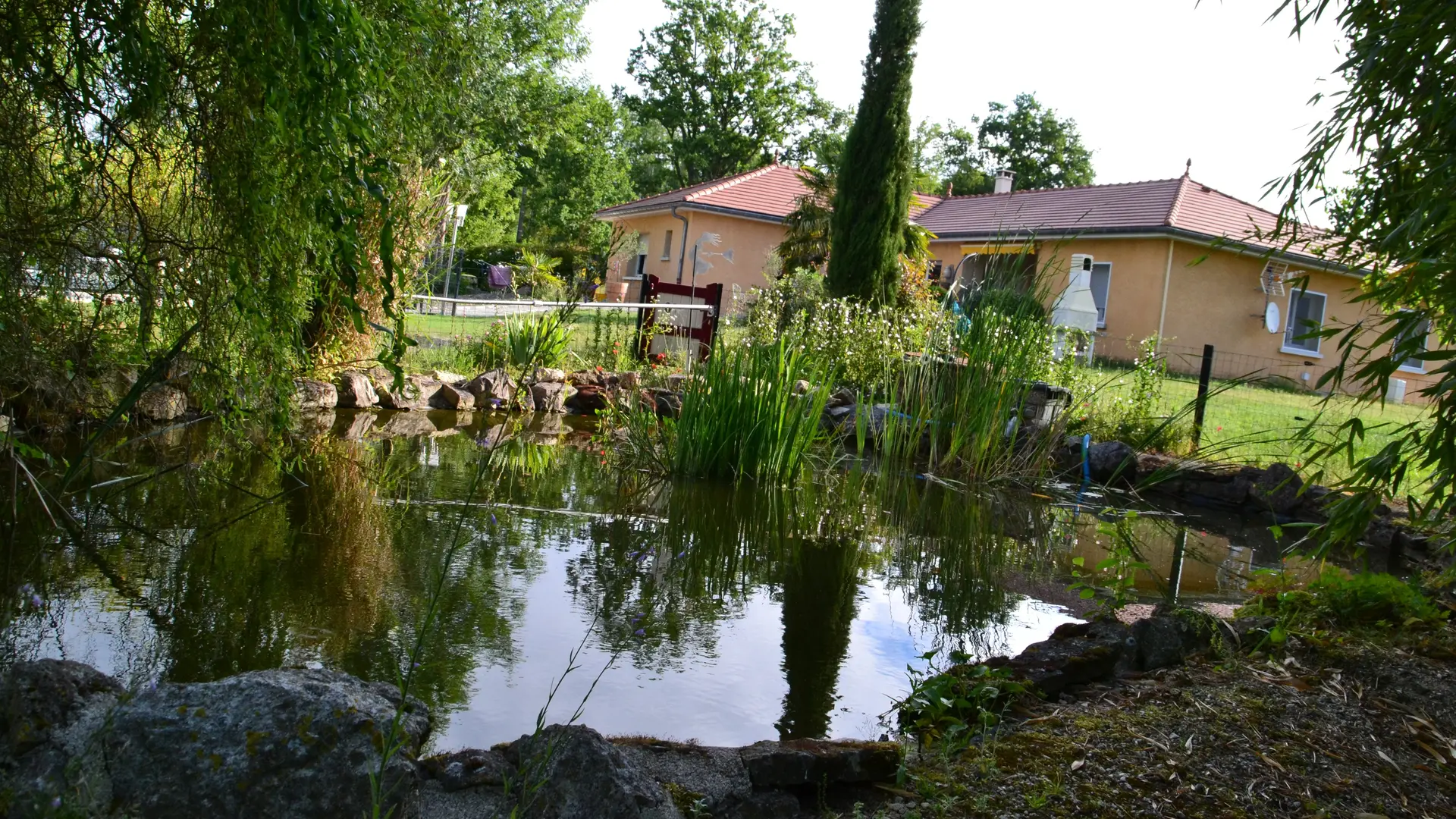 Le bassin à poissons situé entre la piscine et le terrain de pétanque