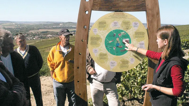 Le sentier du Vigneron - Mutigny