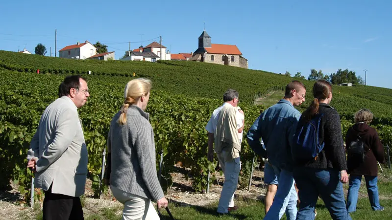 Le sentier du Vigneron - Mutigny