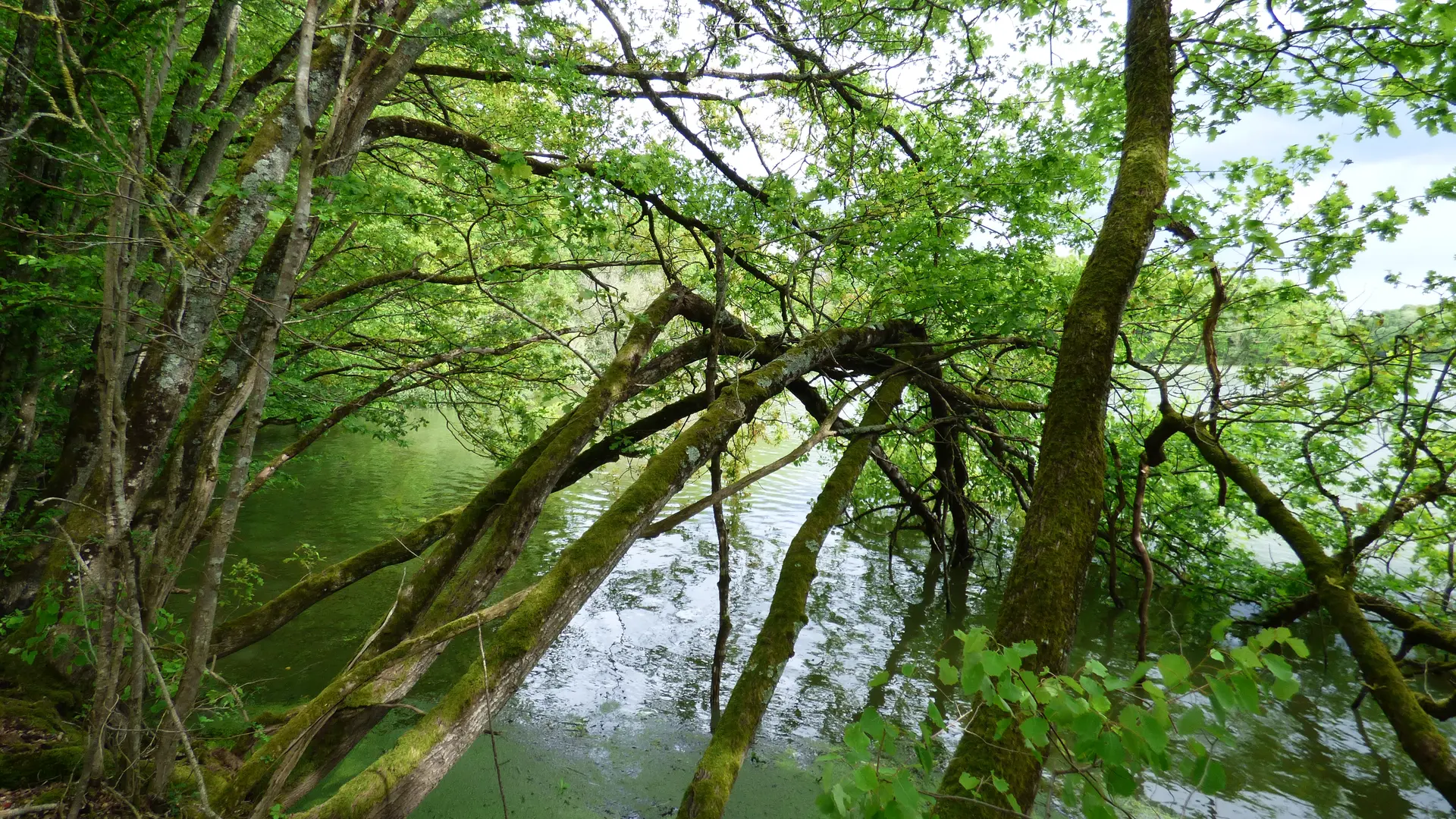 Au détour du sentier de la zone de quiétude