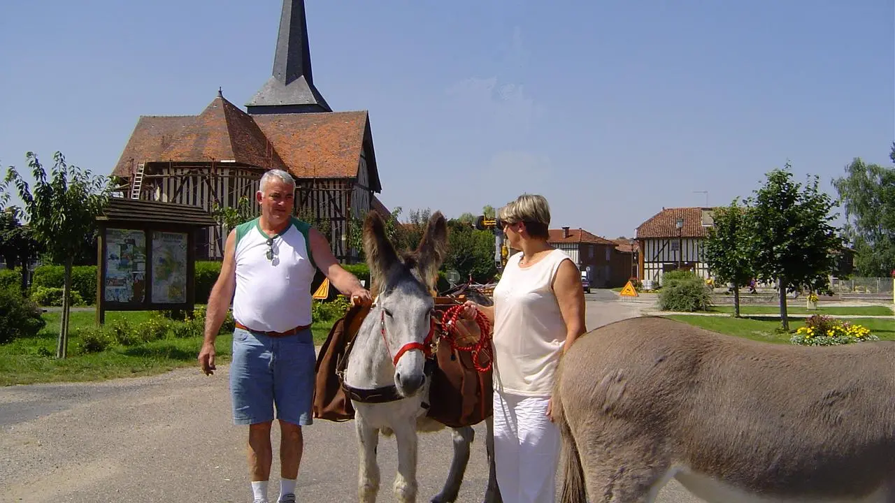 Au MIlieu de Nulle Part - champ'anes Tour des églises à pans de bois avec un âne