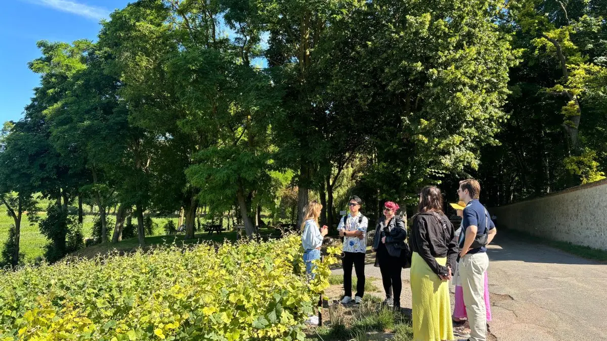 a-la-francaise-champagne-1