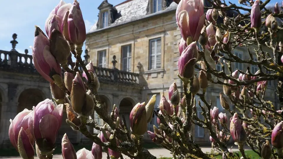 Abbaye de Trois Fontaines