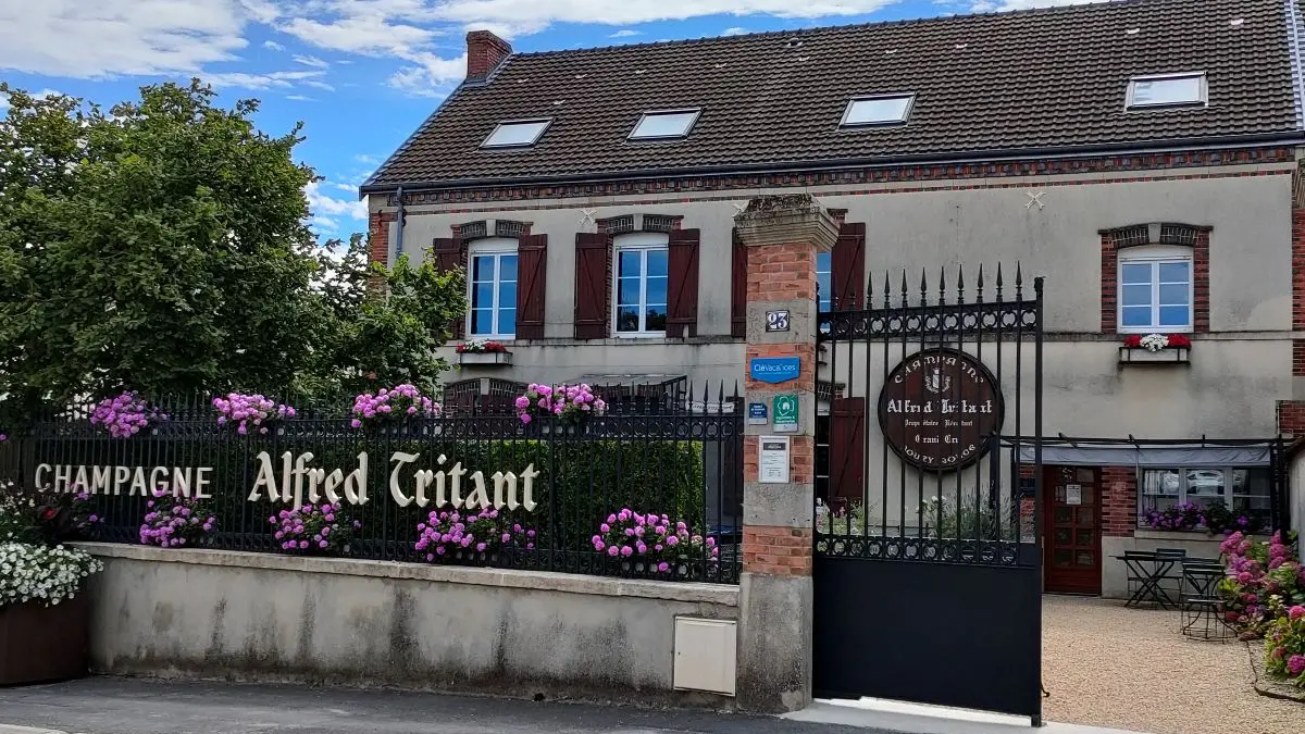 champagne-alfred-tritant-bienvenue