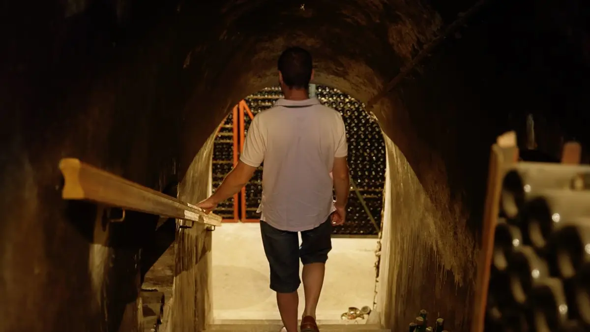 champagne-alfred-tritant-visite-des-caves