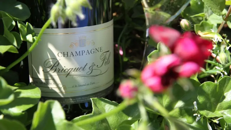 champagne-bricquet-et-fils-saint-amand-sur-fion