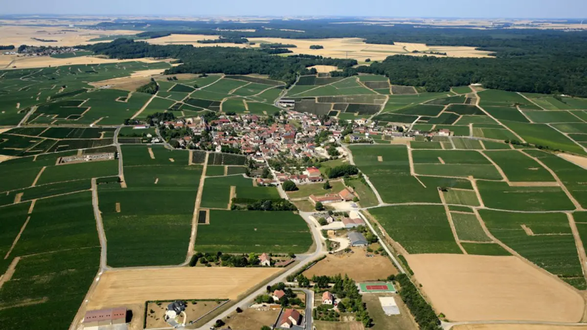 champagne-famille-collet-fontaine-denis-entre-ciel-et-terre