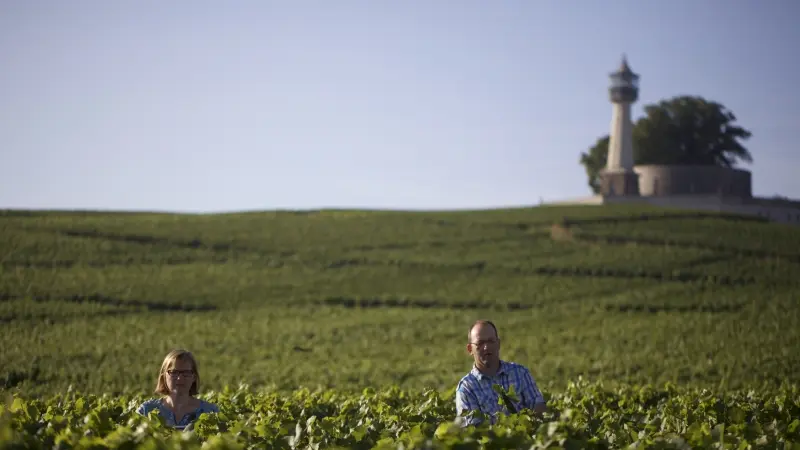 champagne-mouzon-verzenay-vignes