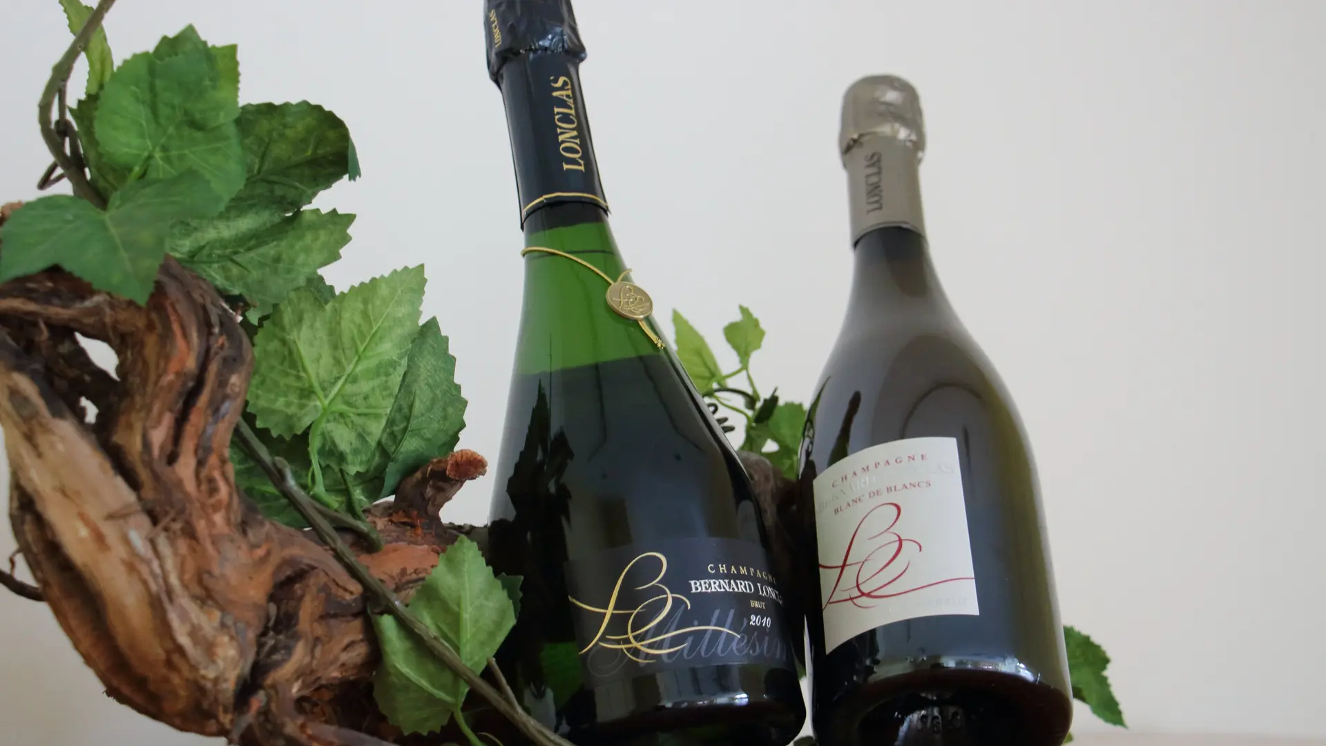 Champagne Bernard Lonclas - Cuvées