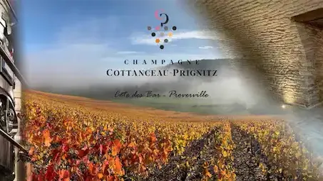 Champagne COTTANCEAU-PRIGNITZ