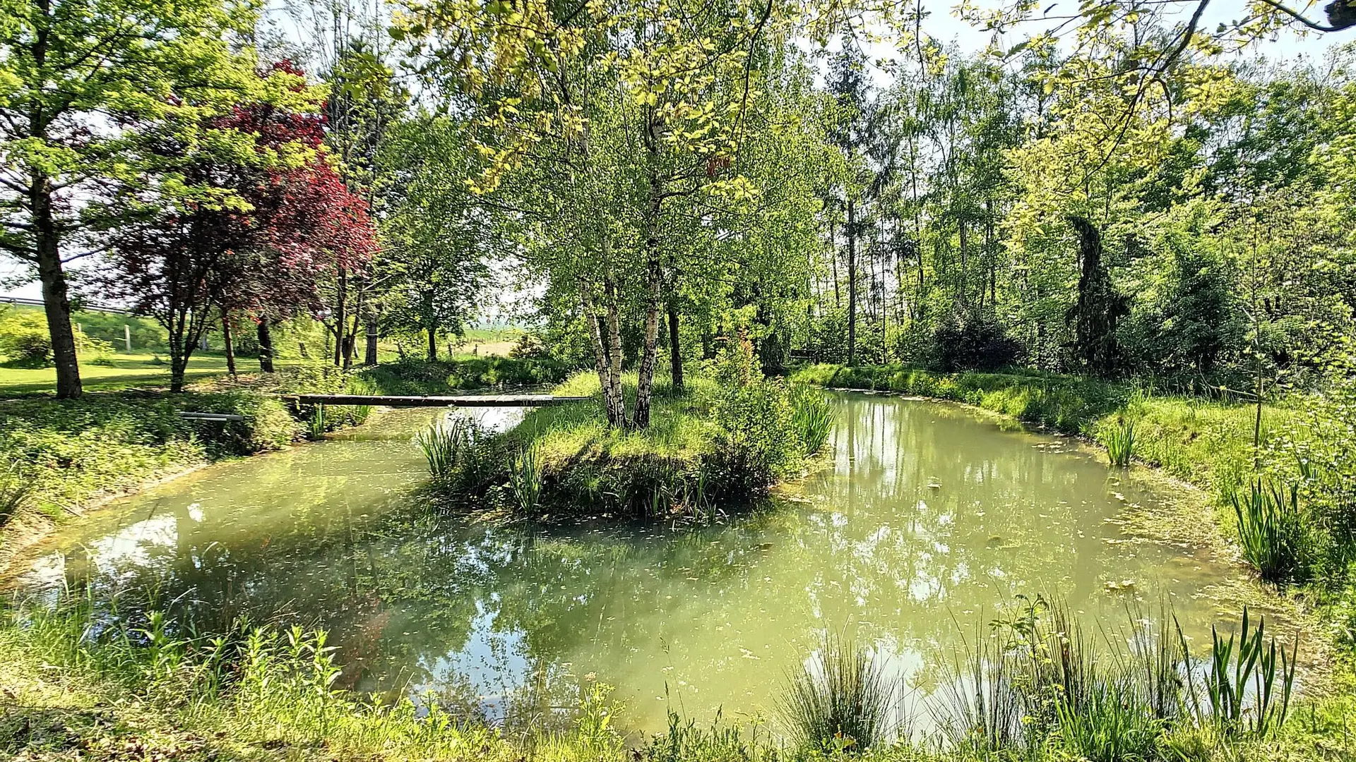 Gîte de la Rhumerie - Frampas - Mare