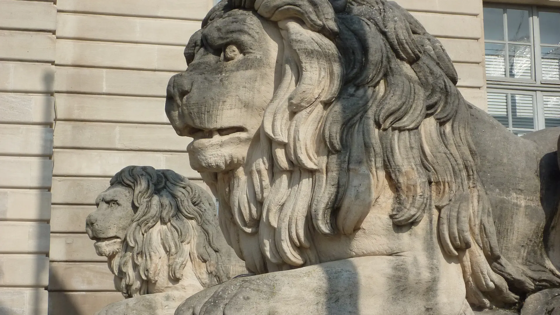 hotel-de-ville-chalons-en-champagne-lions