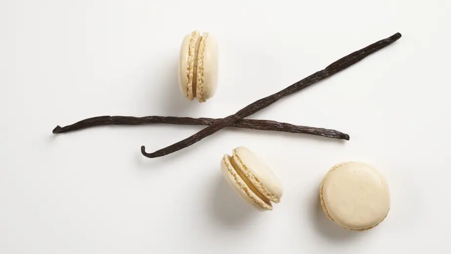 maison-caffet-chalons-en-champagne-11