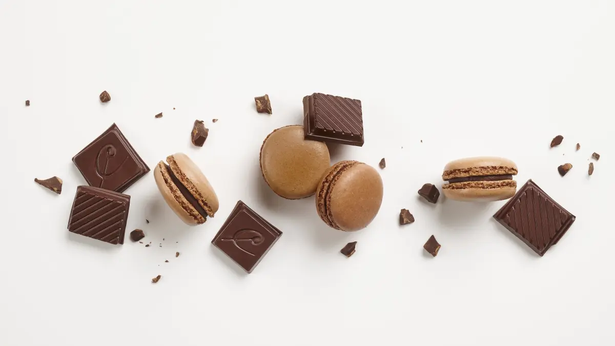 maison-caffet-chalons-en-champagne-13